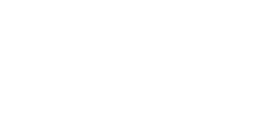 LionCare