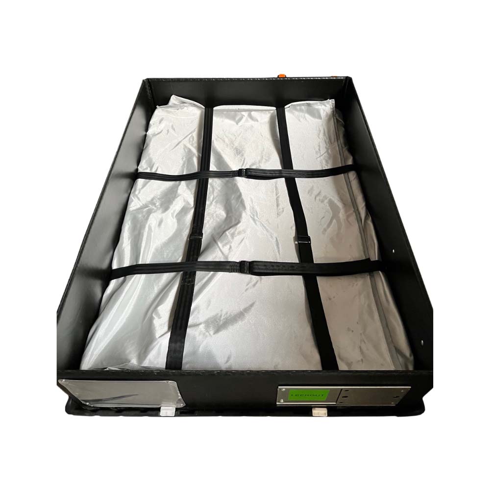 wi-sales ThorPak® Batterie 04 - Transport- und Lagerbehälter